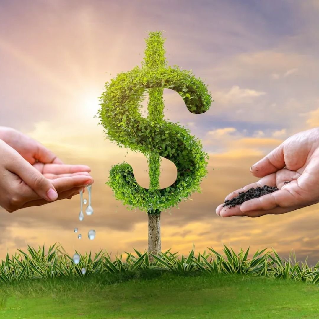 Blog MeuCapital - Onde seu dinheiro faz sentido 2